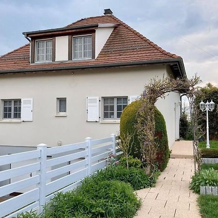 Le Papillon,Logement Cosy En Alsace Erstein Buitenkant foto
