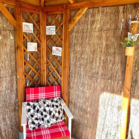 Le Papillon,Logement Cosy En Alsace Erstein Buitenkant foto
