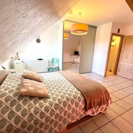 Le Papillon,Logement Cosy En Alsace Erstein Buitenkant foto
