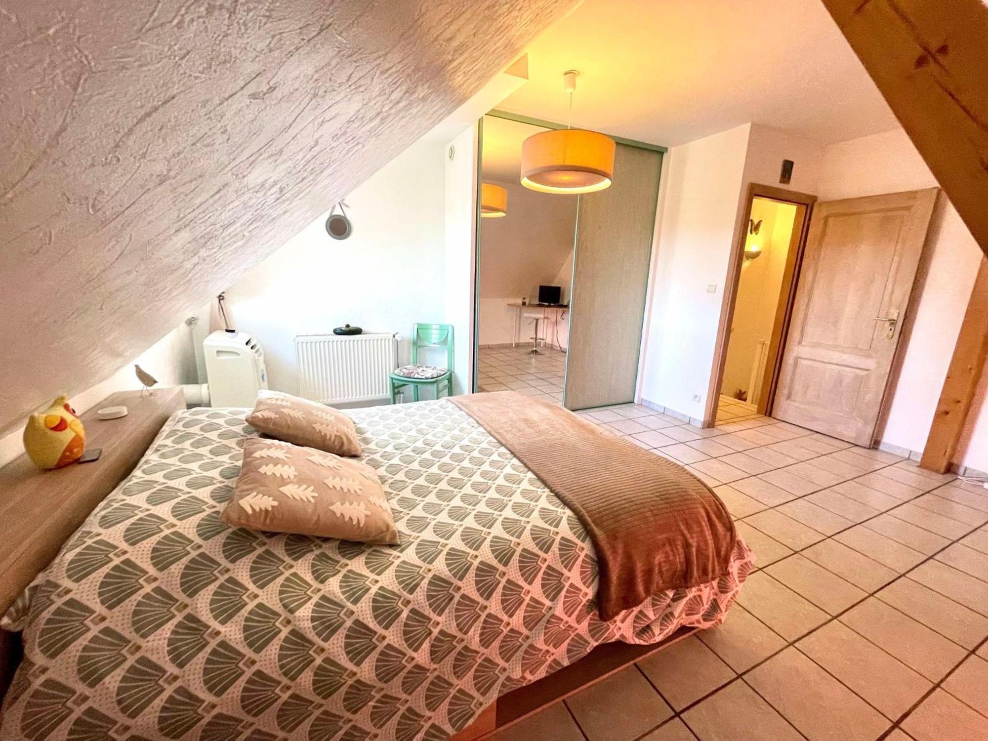 Le Papillon,Logement Cosy En Alsace Erstein Buitenkant foto